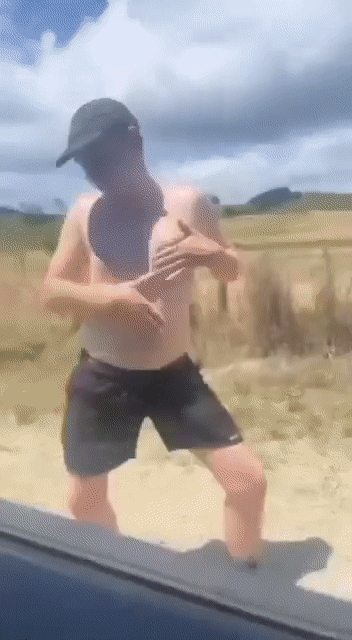 Description of the image